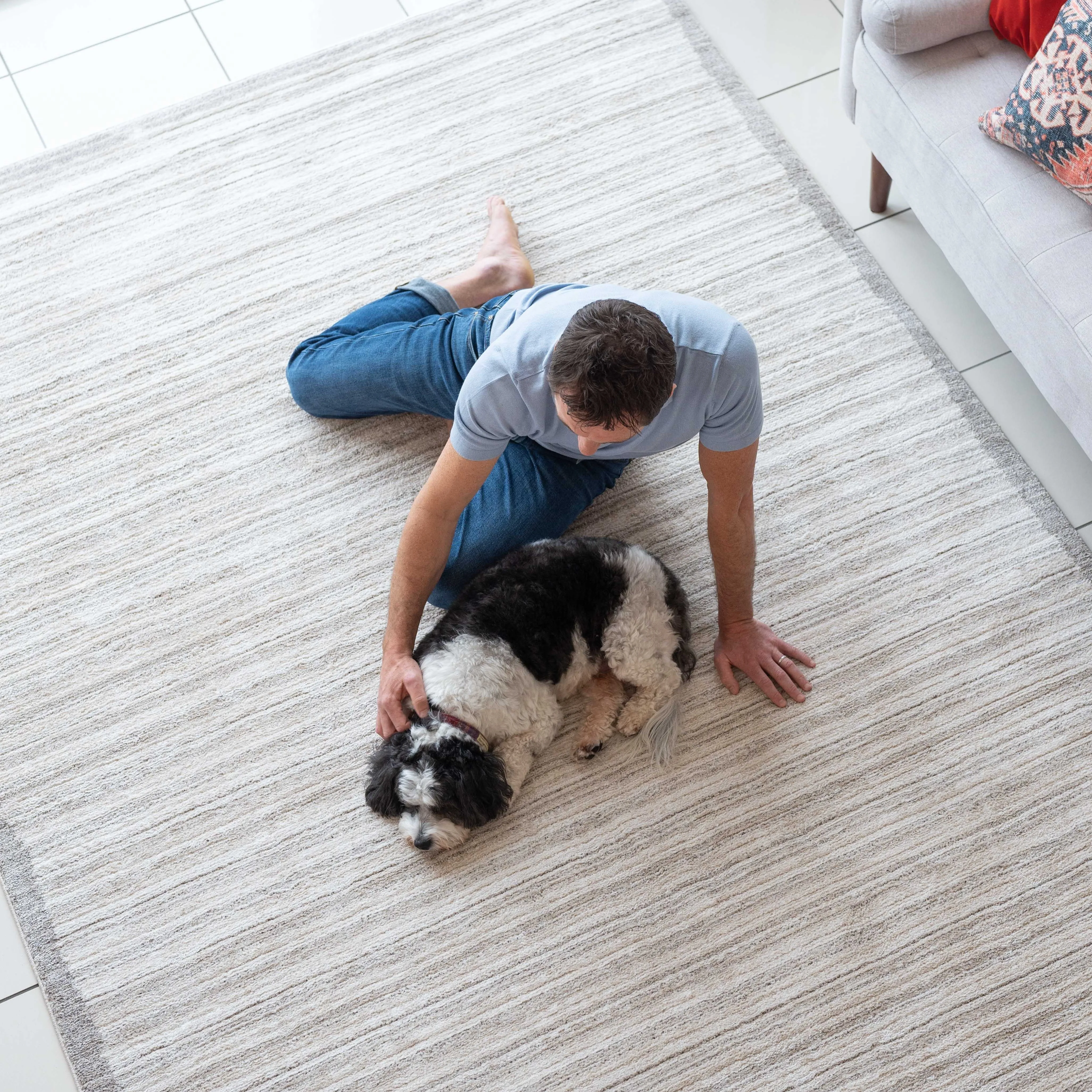 Beige Linear Bordered Area Rug - Rin